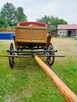 Bryczka po całkowitej renowacji — stan idealny - 9