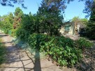 ROD Westerplatte 251m² - 5
