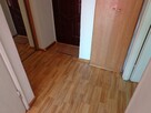 Pl. Wilsona, tani pokój/mieszkanie dla studenta, ucznia - 8
