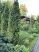 Sprzedam Działke rekreacyjną z domkiem - 2