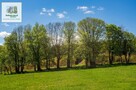 Zieleniec -teren 0,6 ha z pozw. na bud. pensjonatu z basenem - 15