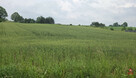 Działka rolna Okuniowiec gm. Suwałki, - 3
