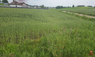 Działka budowlana Okuniowiec gm. Suwałki, - 7