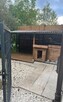 Dom Kijany Kijany kościelne - 12