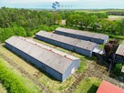 Lokal użytkowy Bożęcin gm. Morąg - 11