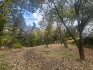 Radachówka nad rzeką Świder 30min z W-wy trasą S17 - 6