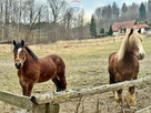 Widokowa działka budowlana w Wiśle 7 arów - 9