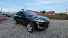 Ford Kuga - 2