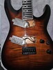 Gitara elektryczna ESP LTD H-200 FM - 6