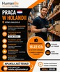 Pracownik Magazynowy / Order Picker – Holandia