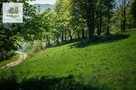 Zieleniec -teren 0,6 ha z pozw. na bud. pensjonatu z basenem - 11