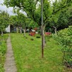 Działka ogrodowa ROD Zwierzyniec na sprzedaż