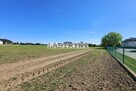 Mykanów, ul. Zielona, 900m2, wymiary 29m x 32m - 4