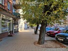 Lokal w ścisłym centrum, pow. 30 m2. - 6