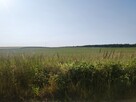 Janczewo działka budowlana, las, jezioro 79 zł/m2 - 3