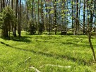 Działka leśna Jankowice 4110 m² Świerklany - 2
