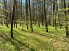 Działka leśna Jankowice 4110 m² Świerklany - 3