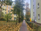 centrum miasta | nowe instalacje | cisza i zieleń - 9