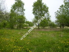Działka Budy mszczonowskie - 2