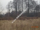 Działka Korabiewice - 4