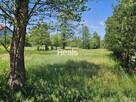 Działka - Kampinos - 3