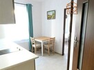 Kawalerka, komórka, pet-friendly - 11 Listopada 45 - 5