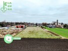 Działka rolna Bedlno - 7