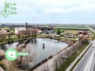 Działka rolna Bedlno - 13