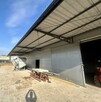Lokal użytkowy Siedlce - 11