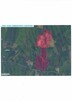 siedlisko dom gospodarstwo 10ha 700m linii brzegowej rzeki - 8