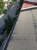 Usługi murarskie dekarskie szalowanie zbrojenie elewa stropy - 6