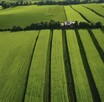Wapno Nawozowe granulowane, Kreda magnezowa wysokiej jakości - 3
