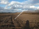 WYJĄTKOWY TEREN W MILANÓWKU - 1