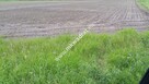 Atrakcyjny kształt, możliwość podziału.