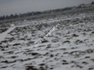 Działka 6450 m2 z domem i halą. - 8