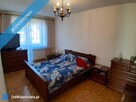 Duży, zadbany, do wprowadzenia - 13