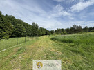 Działka budowlana 3005 m² – Trzcińsk - 6
