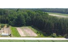 Las, działka leśna, wieś Holendernia, gm. Jabłoń - 4