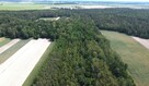 Las, działka leśna, wieś Holendernia, gm. Jabłoń - 12