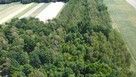 Las, działka leśna, wieś Holendernia, gm. Jabłoń - 13