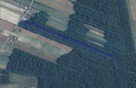 Las, działka leśna, wieś Holendernia, gm. Jabłoń - 15