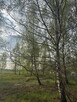 Działka budowlana na  leśnym osiedlu domów - 3