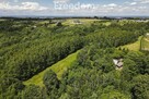 Dom 70 m2 na dużej działce przy lesie - Kielnarowa - 7