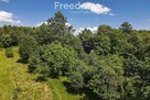 Dom 70 m2 na dużej działce przy lesie - Kielnarowa - 9