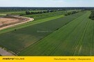 Działka inwestycyjna 1,2 ha przy S7  Czosnów - 5