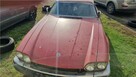 SYNDYK SPRZEDA Samochód osobowy marki Jaguar XJ-S - 3