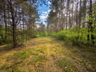 Działka inwestycyjna - 9.41ha nad jeziorem | MEDIA | MPZP | - 3