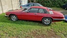SYNDYK SPRZEDA Samochód osobowy marki Jaguar XJ-S - 5