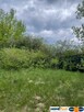 Działka 1,6 ha z domem, media, MPZP – Ruda. - 5