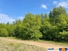 Działka z MPZP Borki zabudowa jednorodzinna - 6